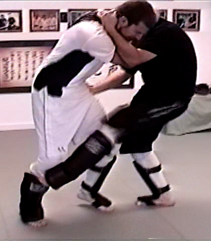 shin kick